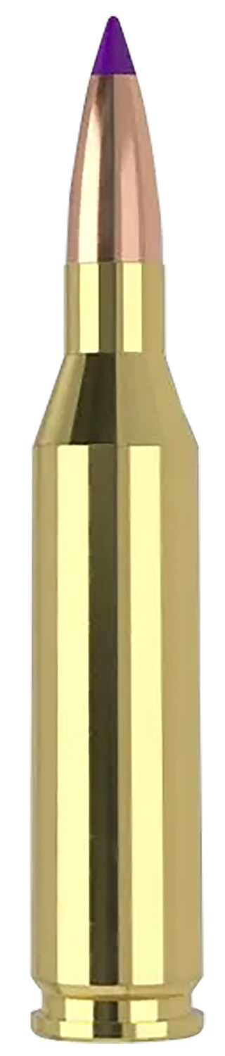Nosler .243 Winchester SP – 20rd